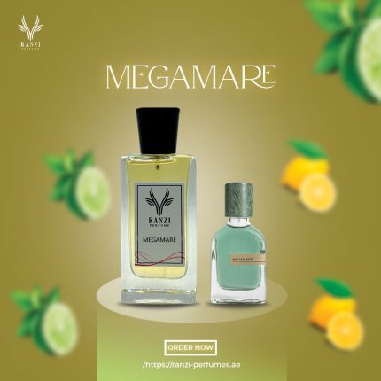 MEGAMARE
